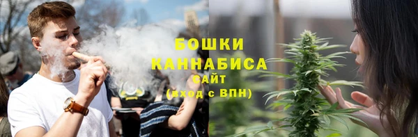 PSILOCYBIN Алексин