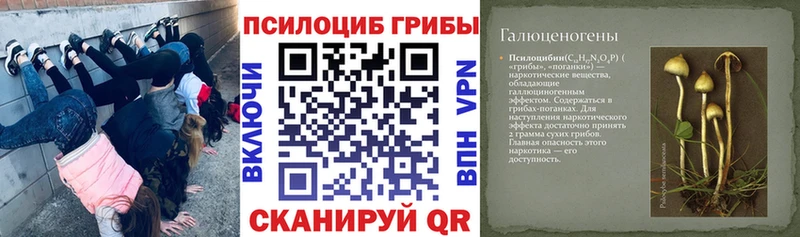 где купить наркоту  Чехов  Псилоцибиновые грибы мицелий 